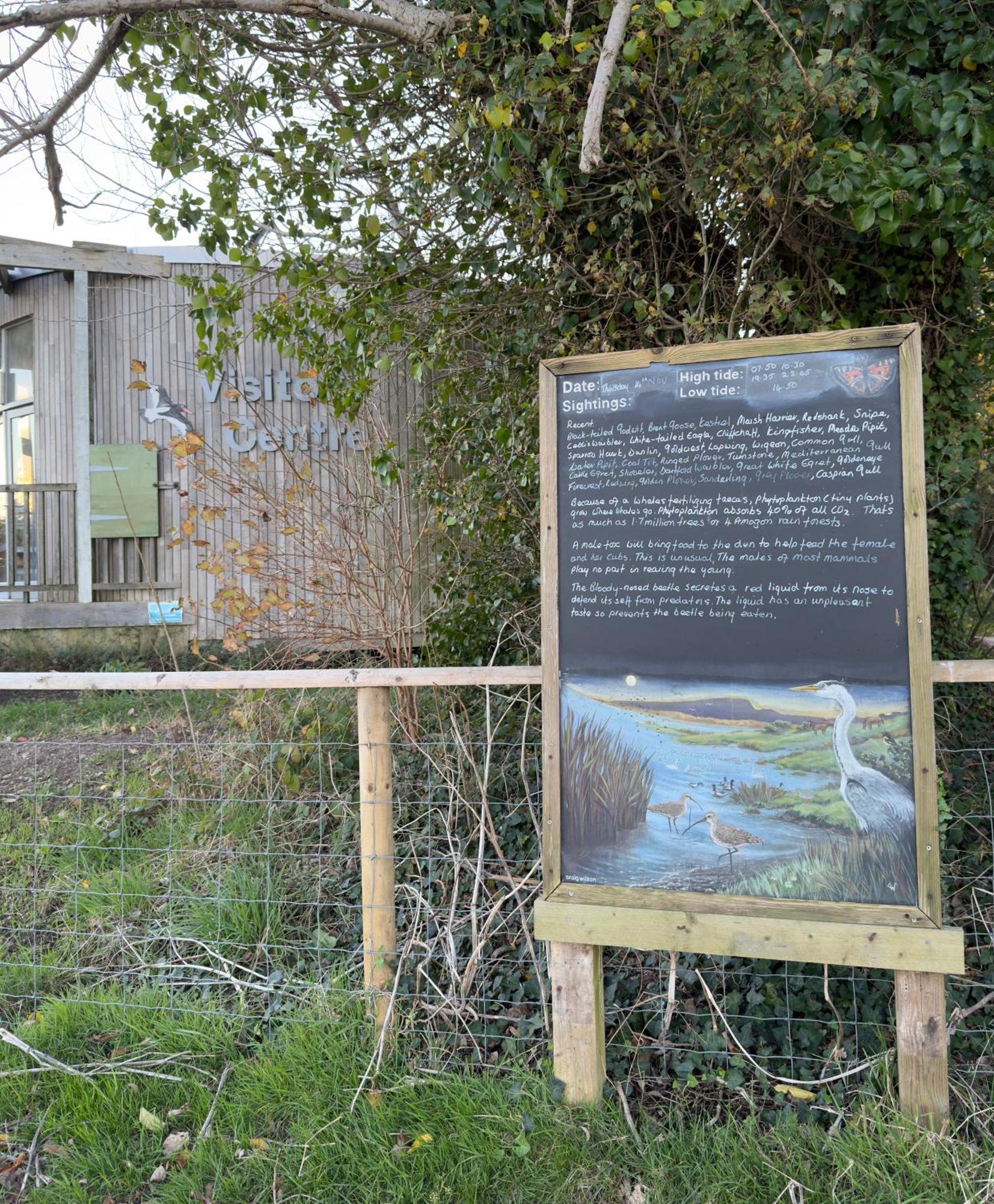 Apartamento Good Vibes Christchurch  Exterior foto